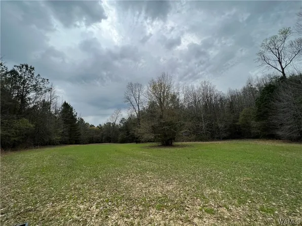 0 New River Rd, Fayette, AL 35555