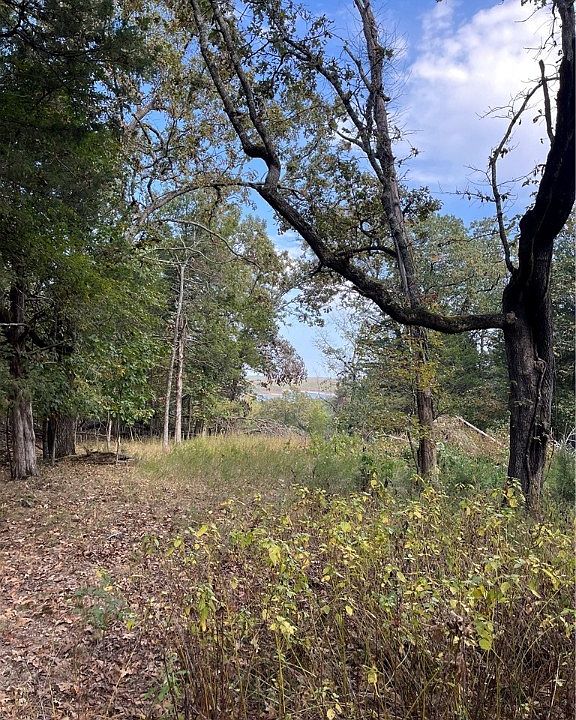 2nd image of LOT 7 E Persimmon Point