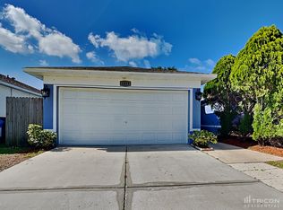 1419 Birchstone Ave, Brandon, FL 33511