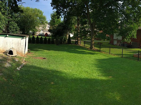 Back yard