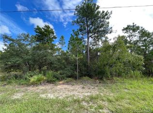 160 Linder Dr, Homosassa, FL 34446