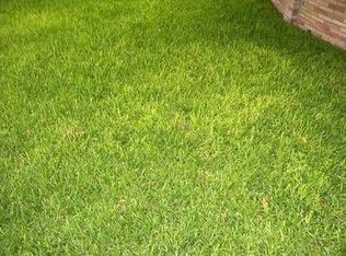 812 E Juarez Ave, Pharr, TX 78577