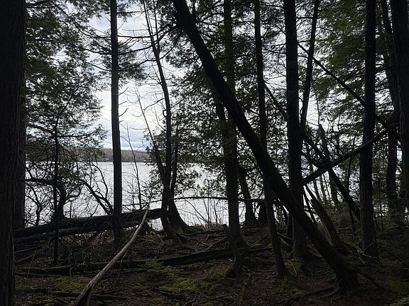 5th image of L47-2 Salmon Circle
