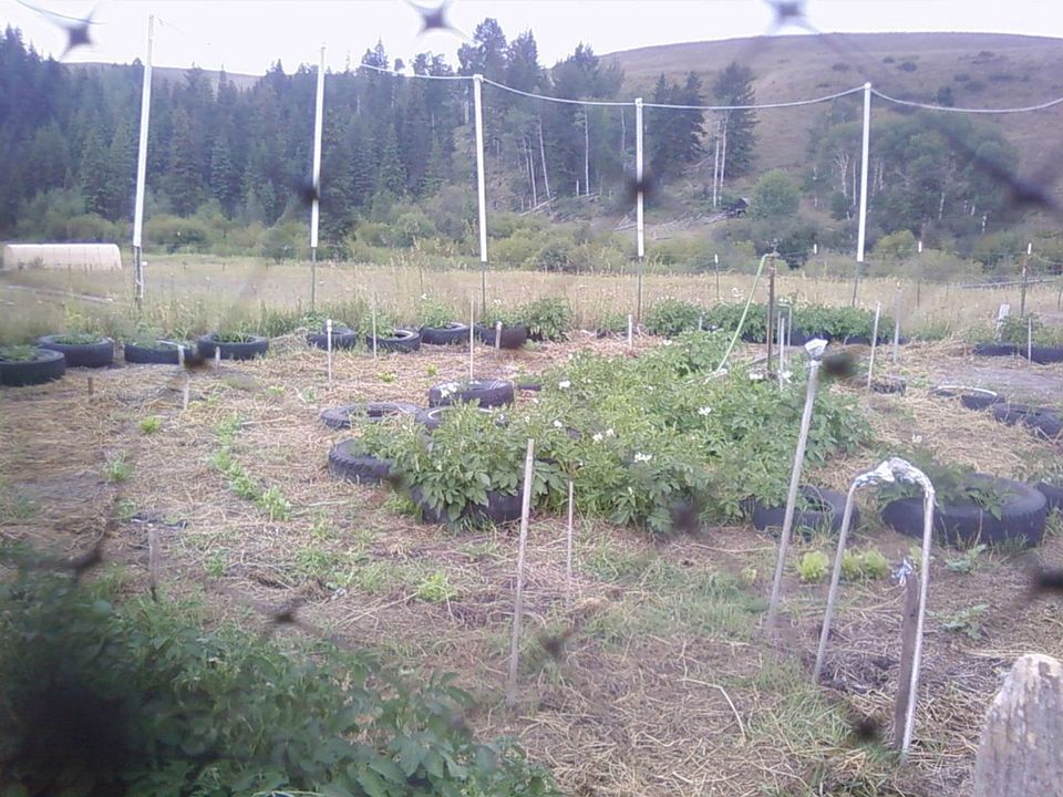 2nd image of 737 Mary Ann Creek Rd