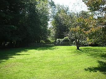 Left Side Yard