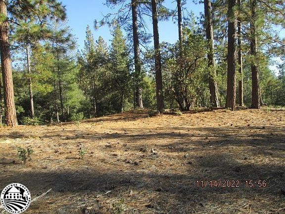 5th image of 10387 Fiske Hill Rd