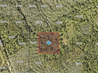 Salyers Rd, Clermont, FL 34714