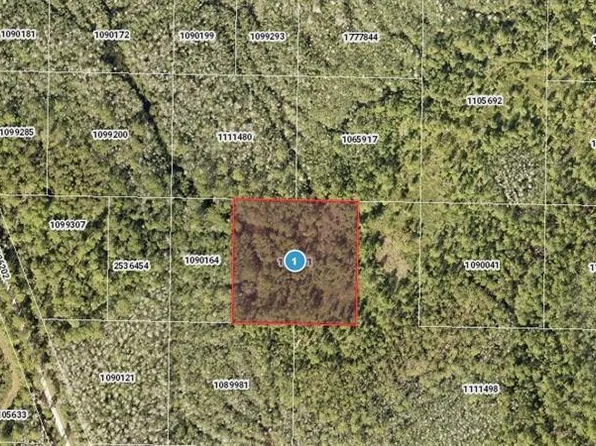 Salyers Rd, Clermont, FL 34714