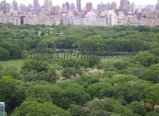 Rented by Metro Realty NY Inc | media 96