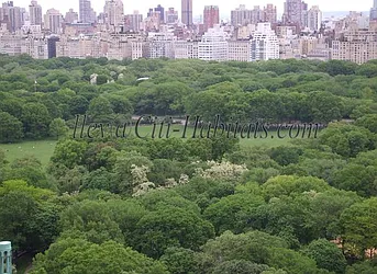 Rented by Metro Realty NY Inc