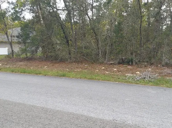 3 Tall Marigolds Ct, Homosassa, FL 34446