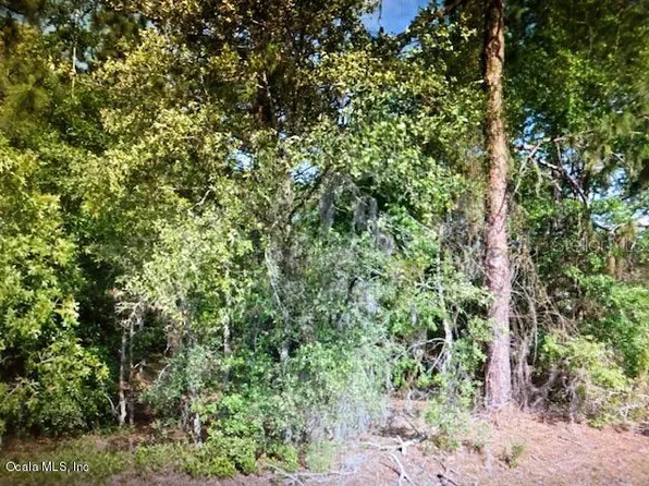 10798 N Dragonis Dr, Citrus Springs, FL 34433