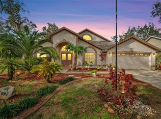 10437 Nightengale Dr, Riverview, FL 33569