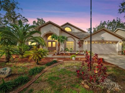 10437 Nightengale Dr, Riverview, FL, 33569