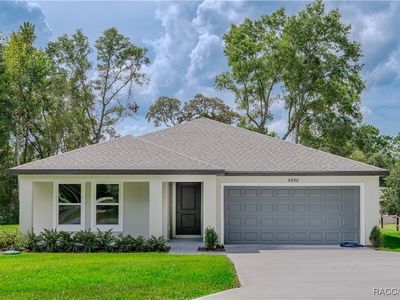 8880 N Santos Dr, Citrus Springs, FL, 34433
