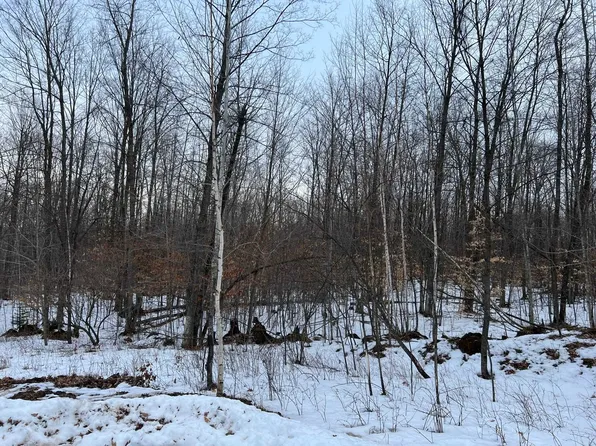 Maryann Ct #29, Pound, WI 54161