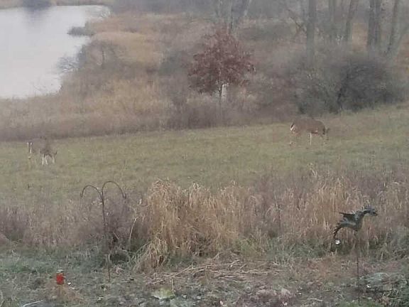 5th image of 8225 Muscatay Grv NE