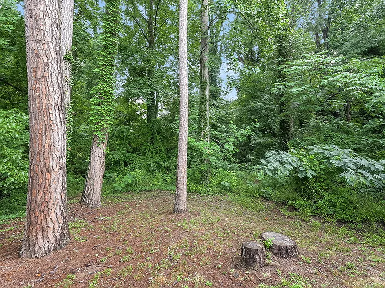 4169 Cedar Ridge Trl — Photo 17