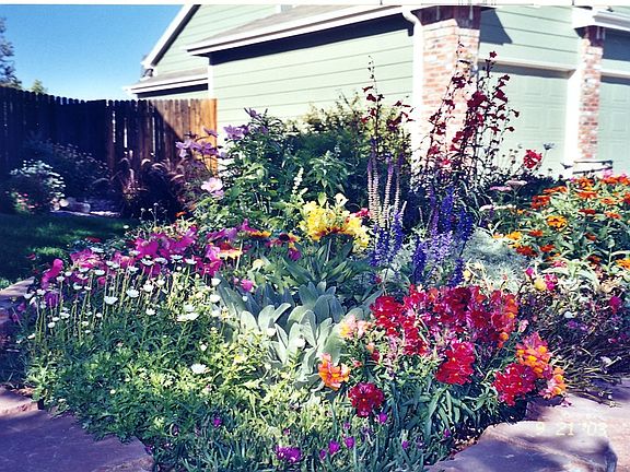 Front Garden