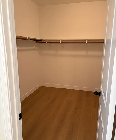Large Master walk-in closet