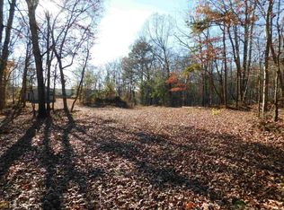 2038 Steadman Rd, Tallapoosa, GA 30176