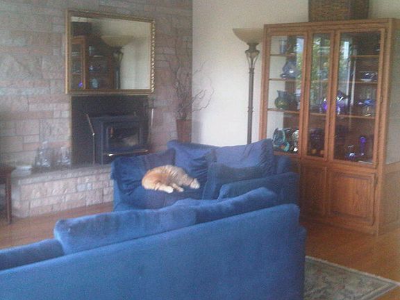 wood burning fireplace