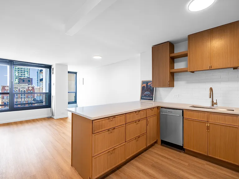 1030 N State St #11M — Photo 13