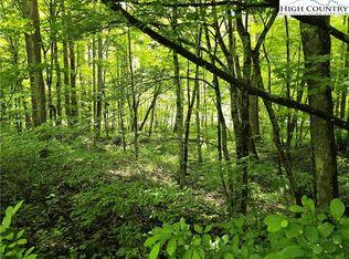 3455 W Mill Creek Rd, Warrensville, NC 28693