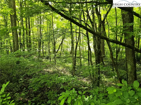 3455 W Mill Creek Road, Warrensville, NC 28693