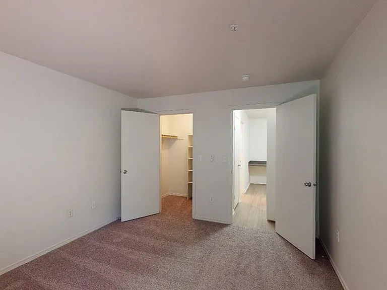 Spacious apartment bedroom with large closet and plush carpet flooring.