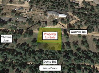 33750 Warren Rd, Pine, CO 80470