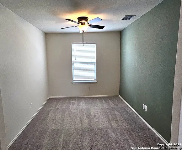 3162 Wild Iris — Photo 16