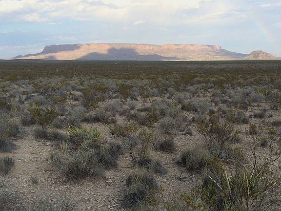 4th image of 4488 Bad Bunny Rd