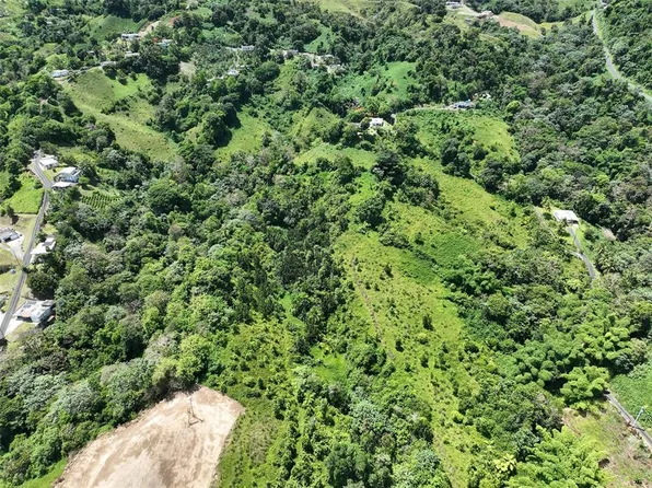 Carr 902 Km #10.1, Yabucoa, PR 00767