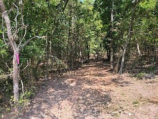 4th image of County Road 302