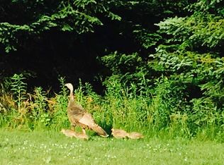 216 Freedom Way, Wausau, WI 54403