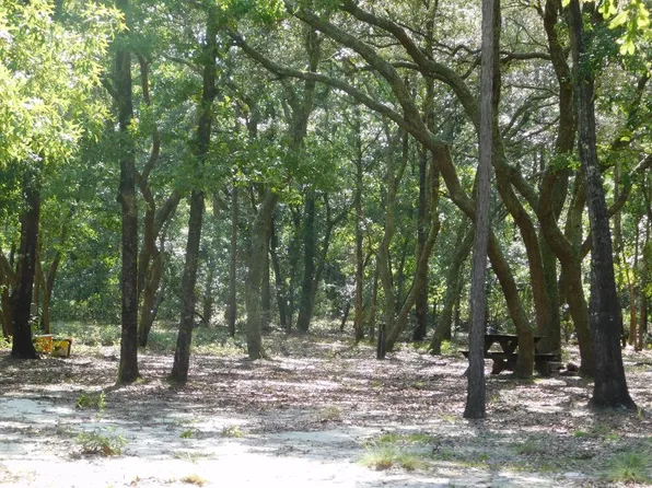 239 Rivermoss Rd, Reidsville, GA 30453