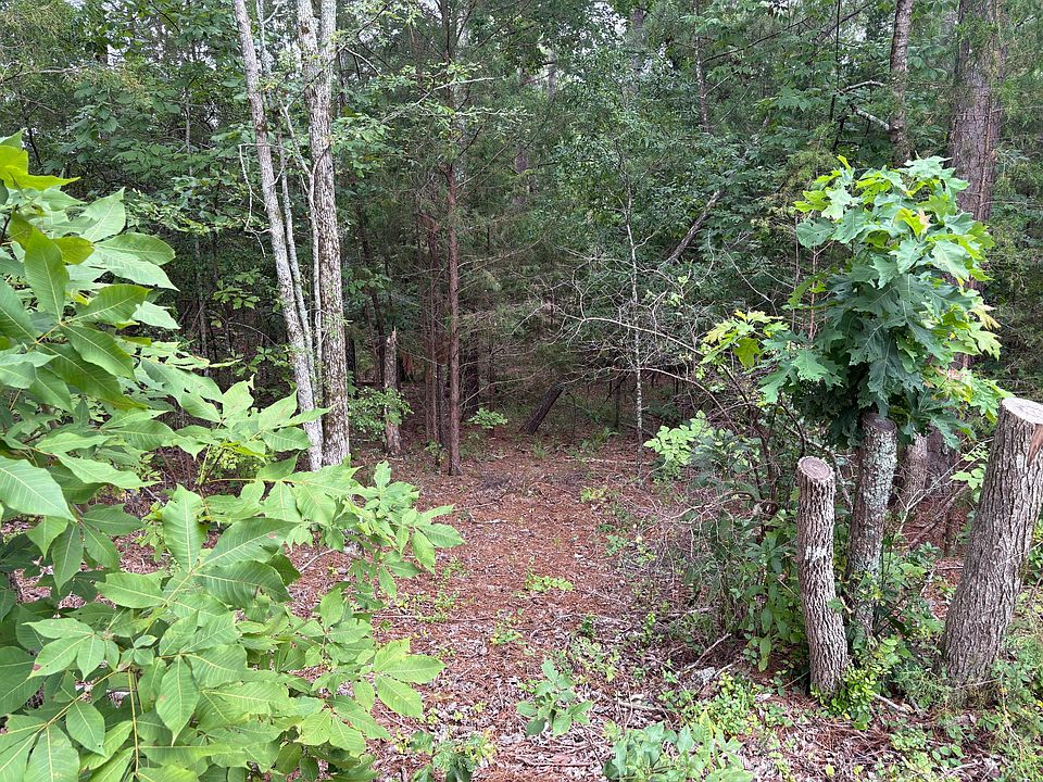 2nd image of 15 Overlook Point #15