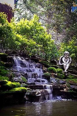 Rented by Owner | media 37