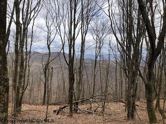 Point Mountain Rd, Monterville, WV 26282 | MLS #10153572 | Zillow