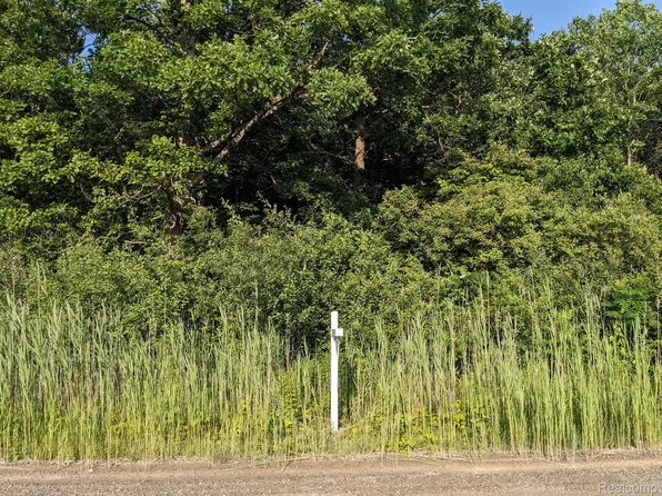 0 Rust Rd, New Boston, MI 48164