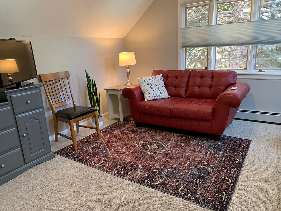Large windows, skylights, and smart TV in living area.