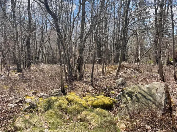 Buck Hill Rd #72, Blakeslee, PA 18610