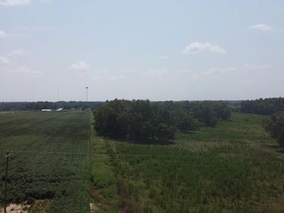 4994 Freeman Rd, Blakely, GA, 39823