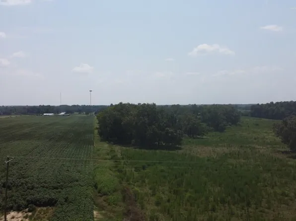 4994 Freeman Rd, Blakely, GA 39823