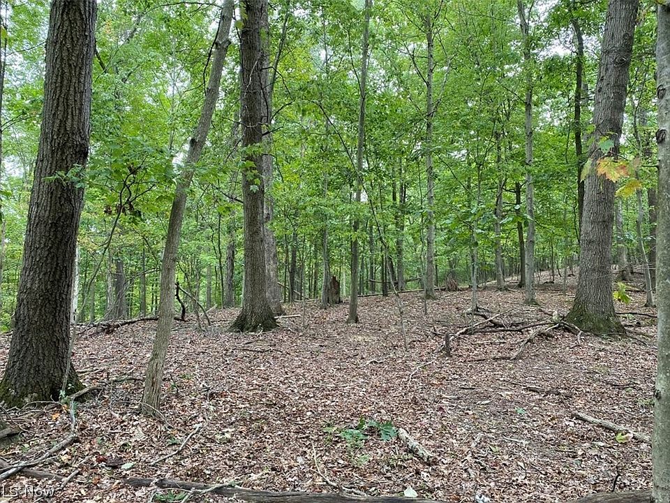 2nd image of Northwood Dr
