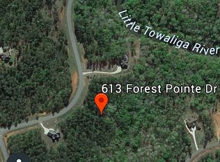 613 Forest Pointe Dr, Forsyth, GA 31029