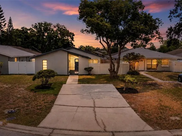 11005 Underwood Pl, Tampa, FL 33624