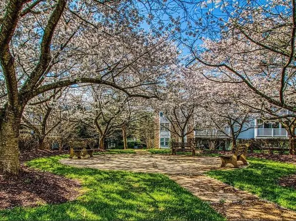 301 Palmspring Dr, Gaithersburg, MD 20878