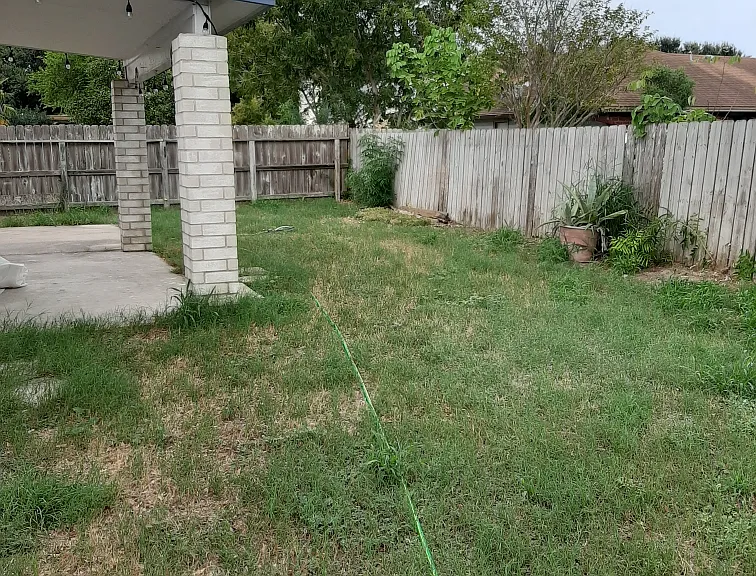 2256 Ivy Dr — Photo 14